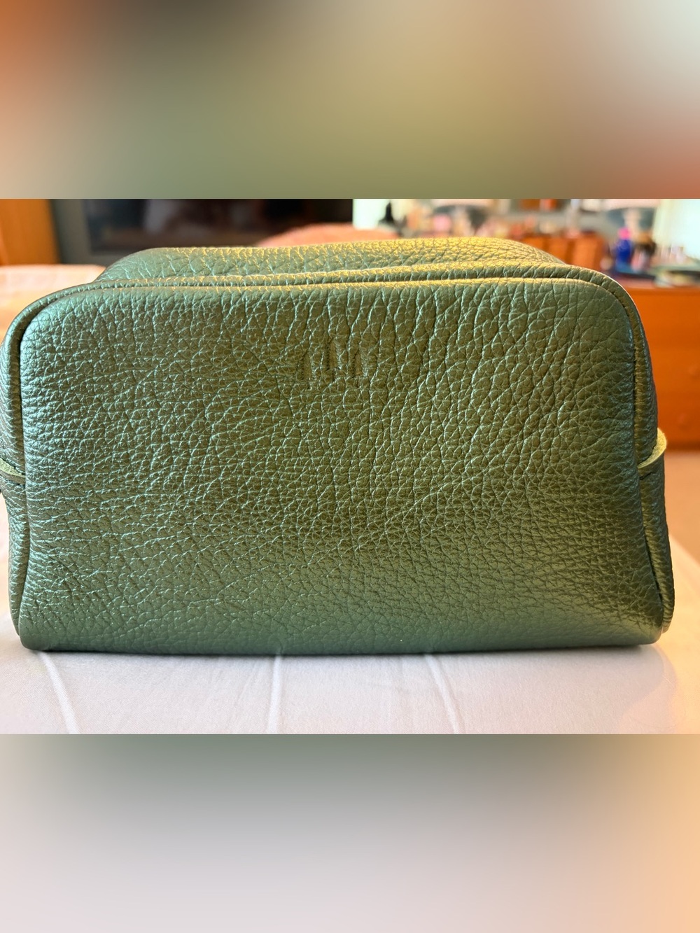 PLG Metallic Greench Leather Astra Pouch